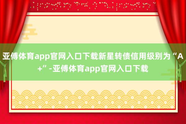 亚傅体育app官网入口下载新星转债信用级别为“A+”-亚傅体育app官网入口下载