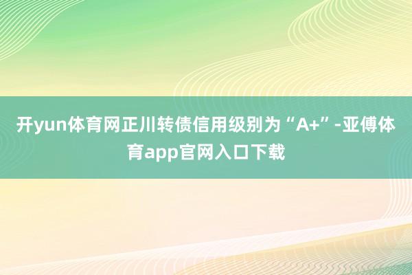 开yun体育网正川转债信用级别为“A+”-亚傅体育app官网入口下载