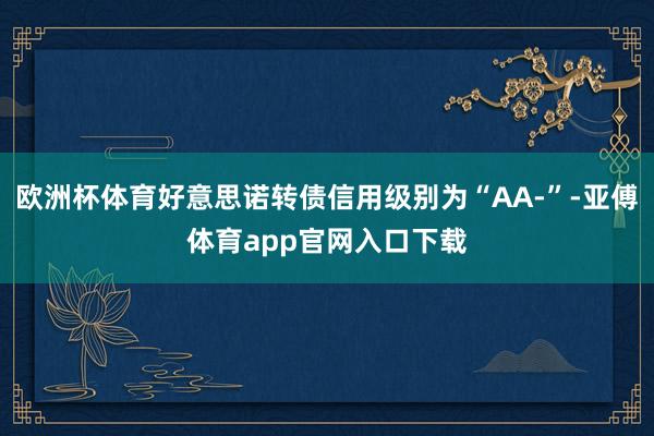 欧洲杯体育好意思诺转债信用级别为“AA-”-亚傅体育app官网入口下载