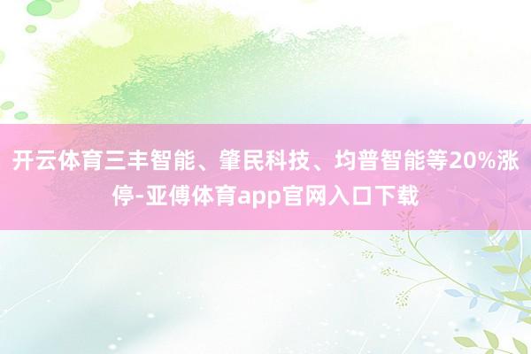 开云体育三丰智能、肇民科技、均普智能等20%涨停-亚傅体育app官网入口下载