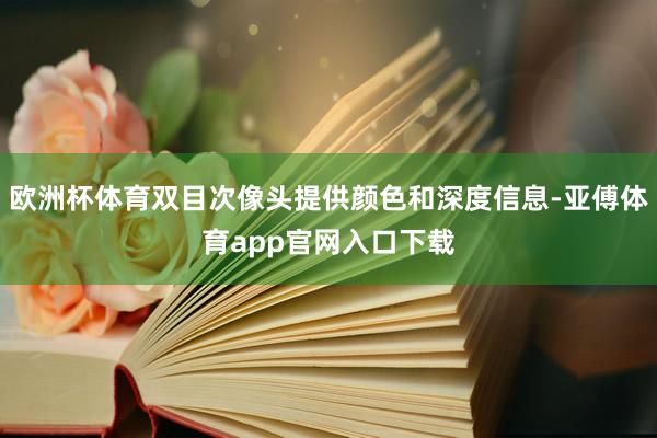 欧洲杯体育双目次像头提供颜色和深度信息-亚傅体育app官网入口下载